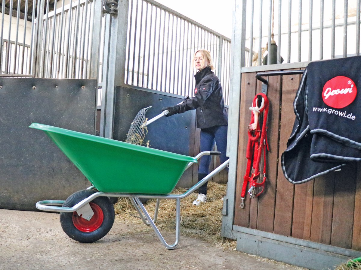 GROWI® Compactkarre PE 1-rädig, 215 L, grün