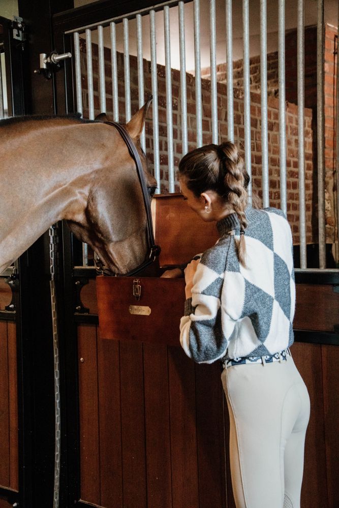 KENTUCKY® HORSEWEAR Leder Stallhalfter