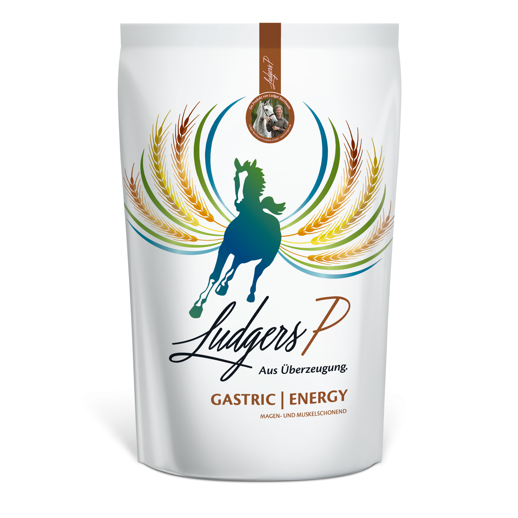 LUDGERS P GASTRIC | ENERGY 