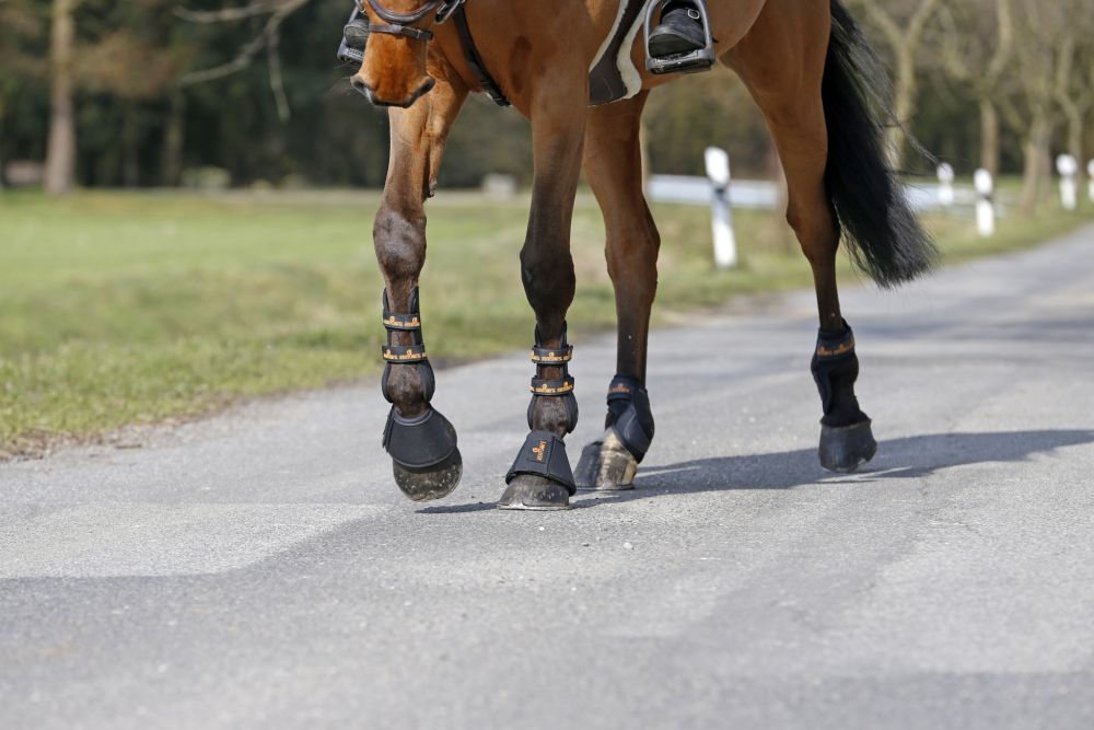 KENTUCKY® HORSEWEAR Hufglocken Leder