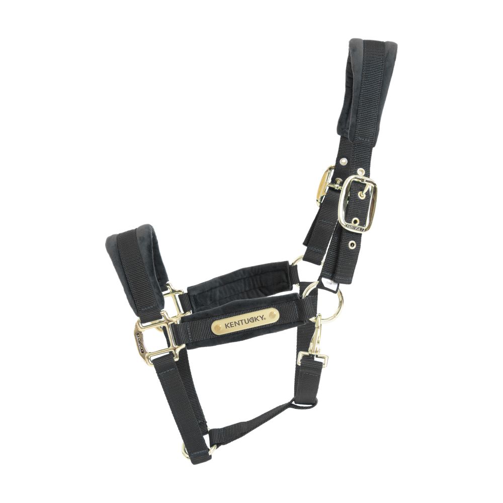 KENTUCKY® HORSEWEAR Velvet Halfter, schwarz