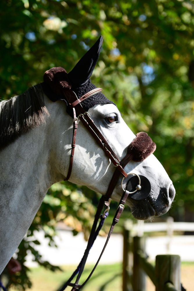 KENTUCKY® HORSEWEAR Schaffell-Nasenriemenschoner, braun
