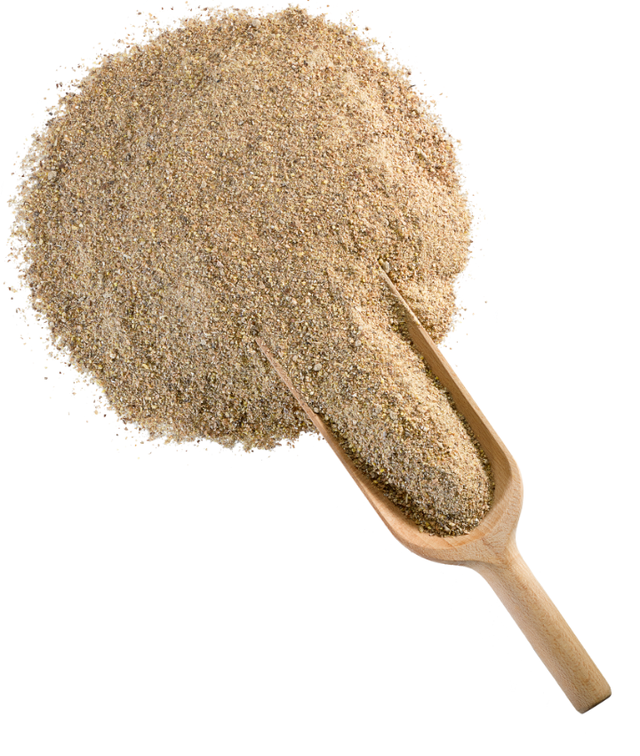 DERBY® MASH