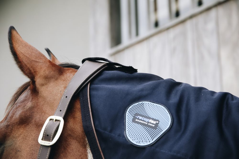 KENTUCKY® HORSEWEAR Magnetic Recuptex Halsteil