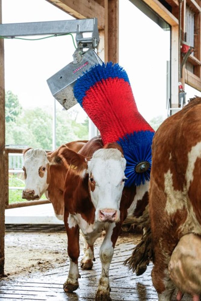 HAPPYCOW Kuhputzmaschine MaxiSwing