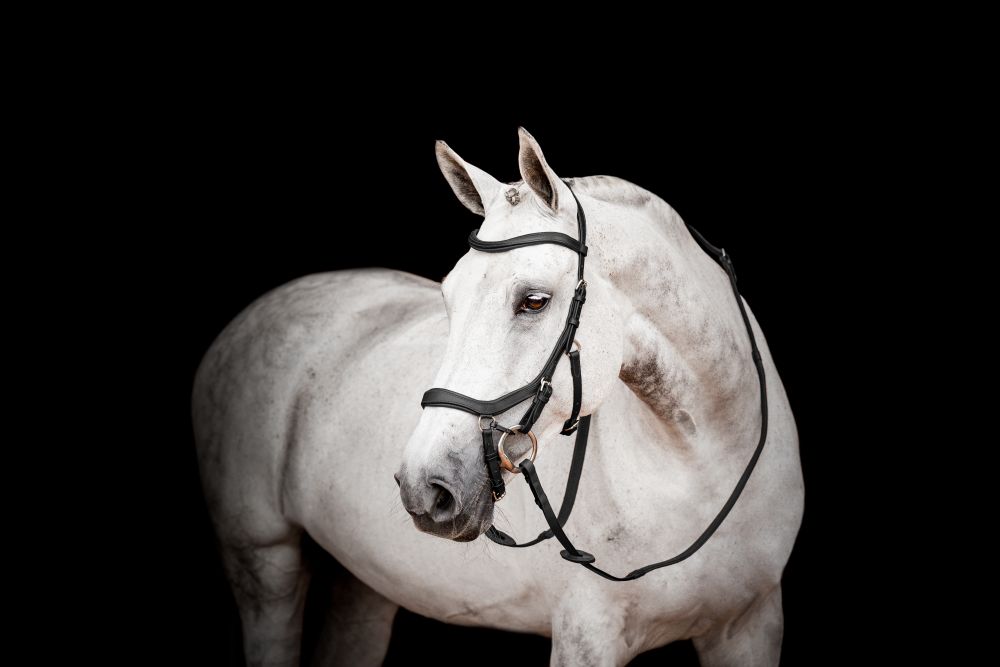 HORSEWARE® Micklem® 2 Competition Bridle, black