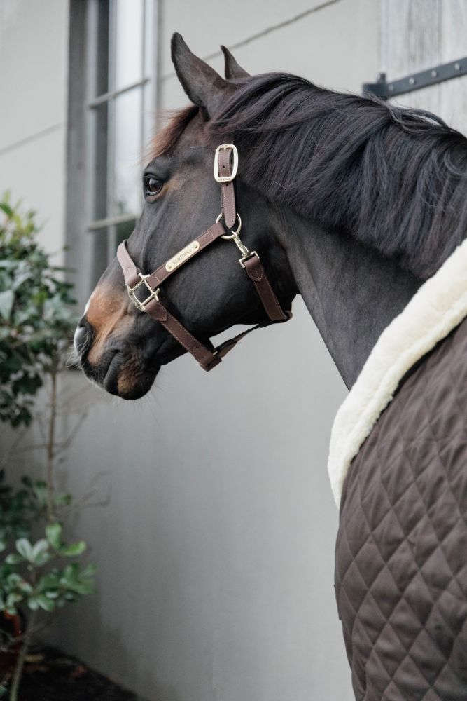 KENTUCKY® HORSEWEAR Turnierdecke, braun