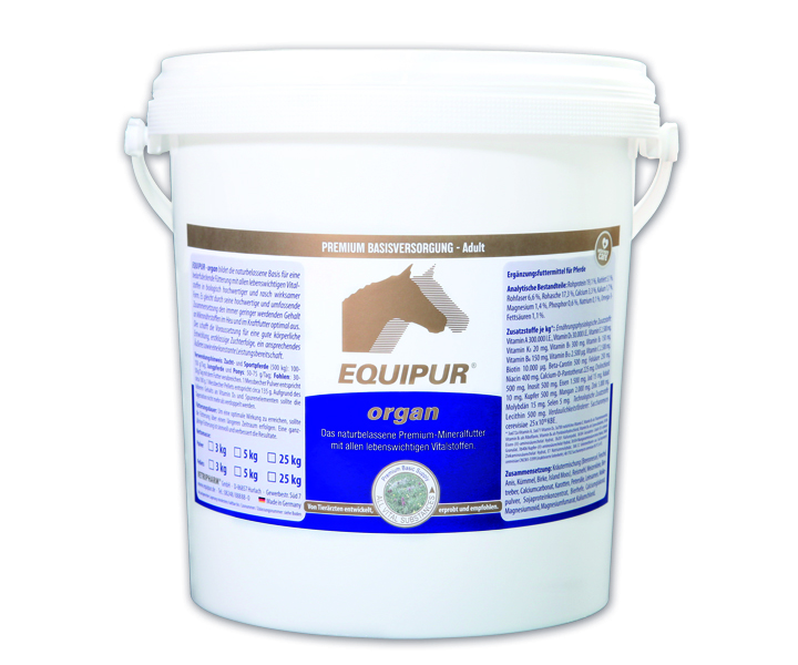 EQUIPUR® organ