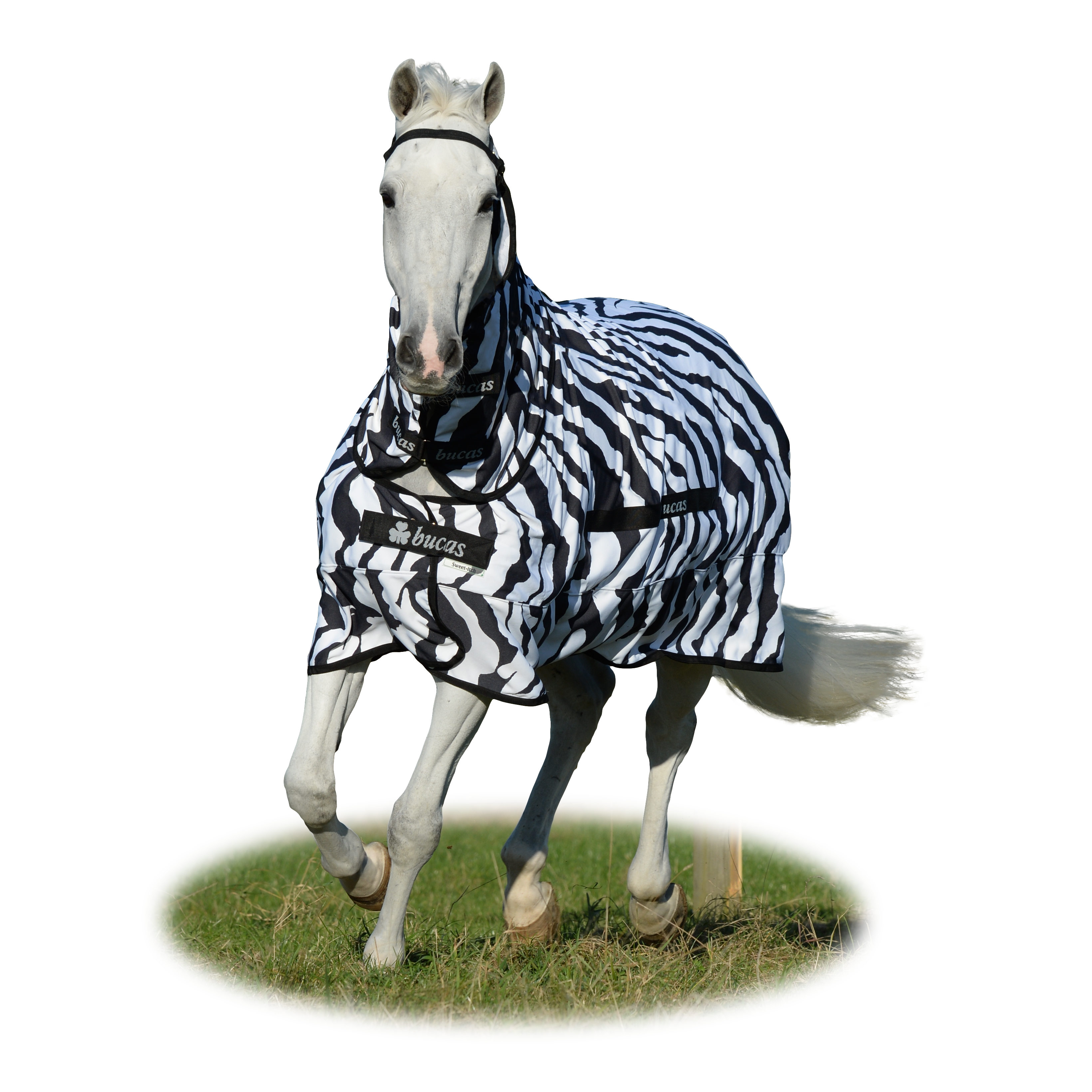 BUCAS Sweet-itch Zebra
