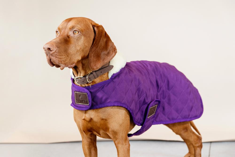 KENTUCKY® DOGWEAR Hundemantel Original 160 g, königliches-violett