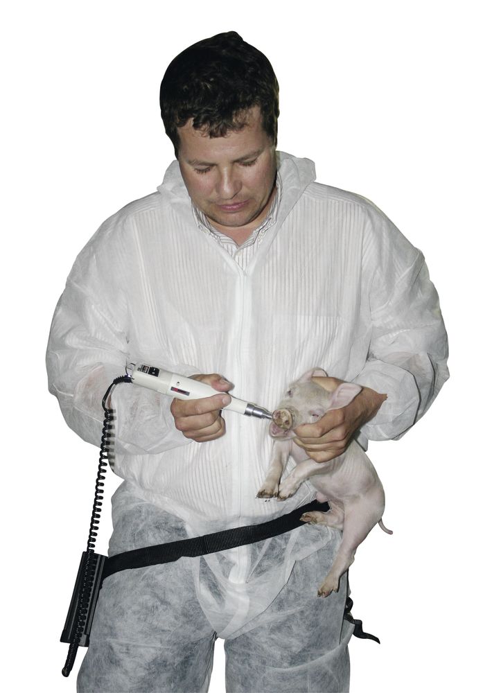 KERBL Akku-Zahnschleifgerät ProPig