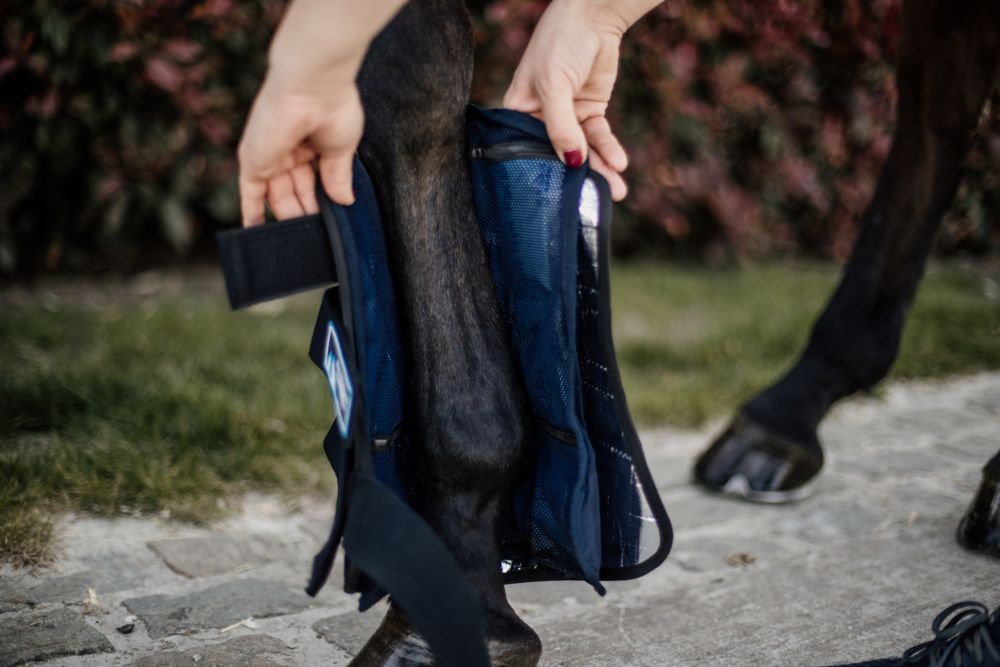 KENTUCKY® HORSEWEAR Kühlgamaschen Cryo Ice Boots