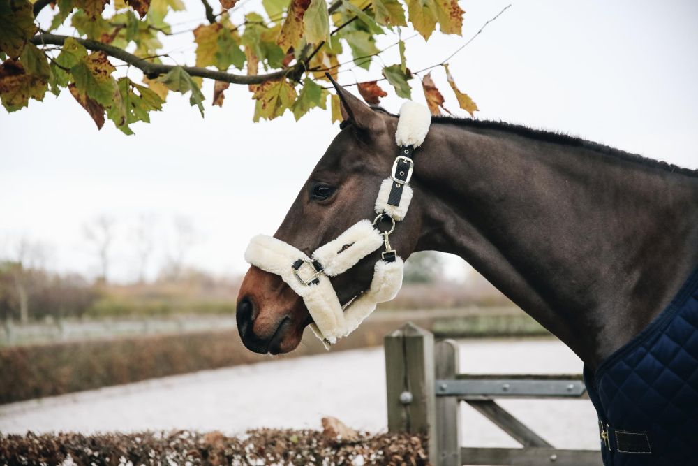 KENTUCKY® HORSEWEAR Lammfell Transport-Halfter, natur