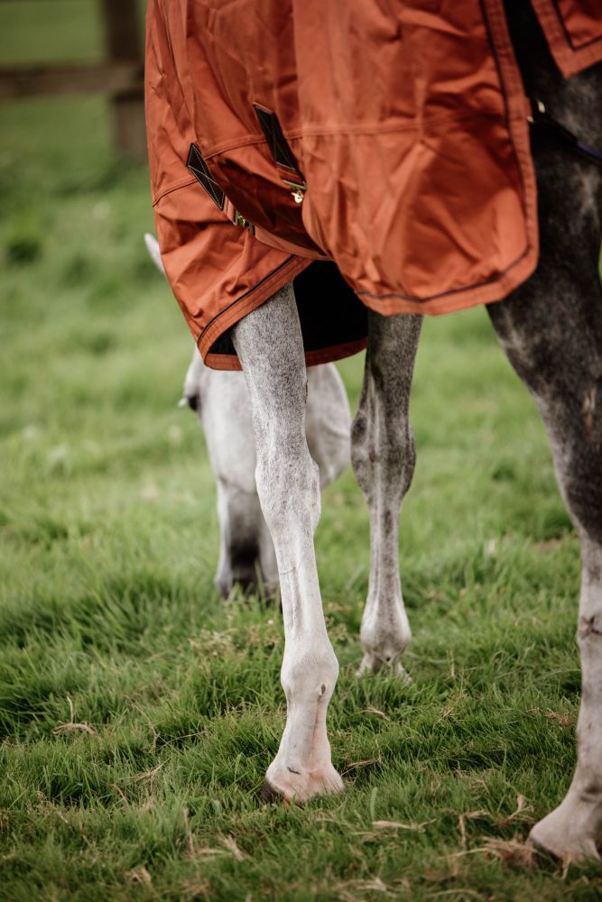 KENTUCKY® HORSEWEAR Weidedecke All Weather Waterproof Pro 160 g, orange