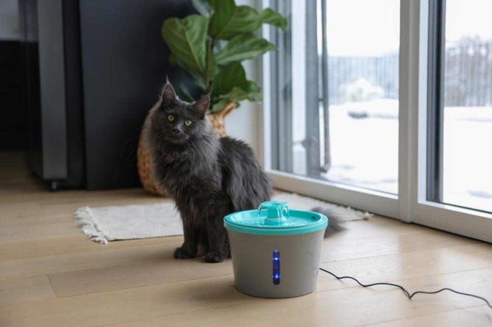 KERBL Trinkbrunnen für Katzen und kleine Hunde
