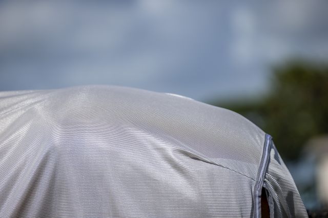 HORSEWARE® Fliegendecke Amigo® Bug Rug XL Plus, silver/titanium Nahaufnahme der silber-titanfarbenen Fliegendecke Amigo Bug Rug auf einem Pferderücken mit Fokus auf die Textur.