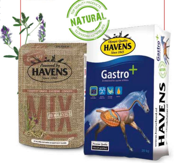 HAVENS GASTRO+