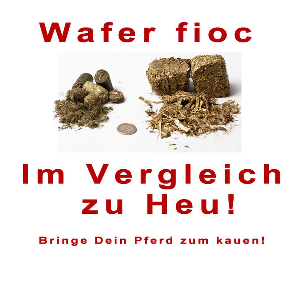 GUIDOLIN Wafer Fioc light