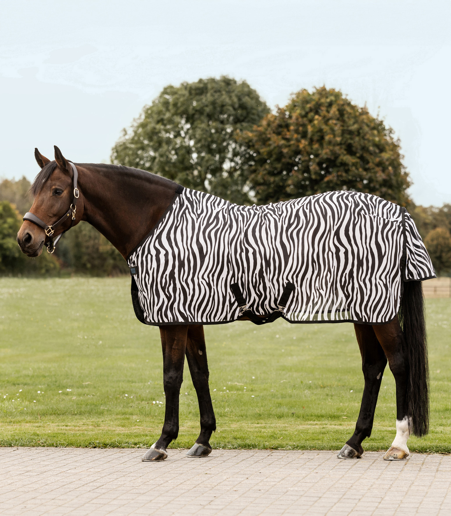 WALDHAUSEN Fliegendecke Zebra mit Kreuzgurten