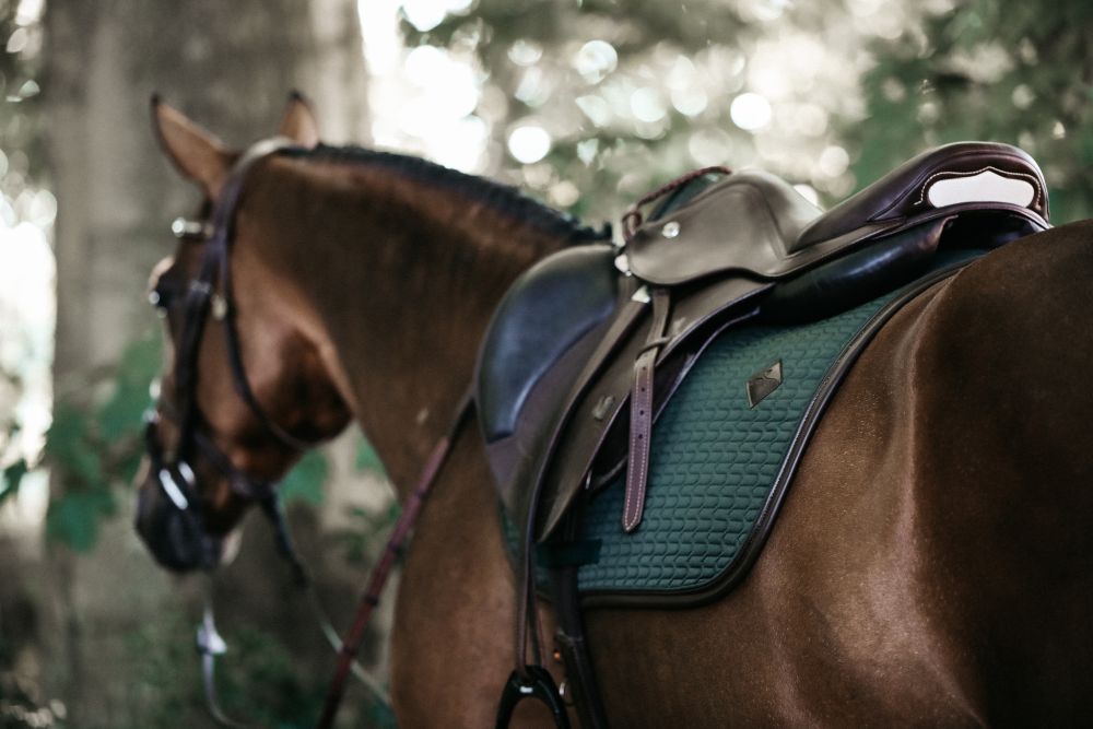 KENTUCKY® HORSEWEAR Schabracke Color Edition Leder Springen, olive-grün
