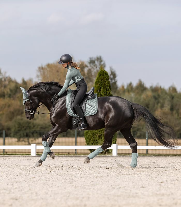 WALDHAUSEN Fliegenohren Nepal, silberblau Waldhausen Fliegenohren Nepal in silberblau an einem Rappen mit passender Schabracke und Bandagen beim Reiten.