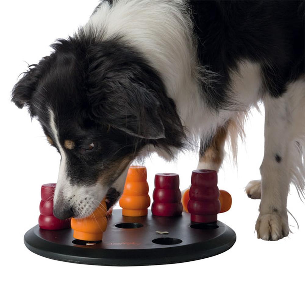 TRIXIE Dog Activity Strategiespiel Solitär