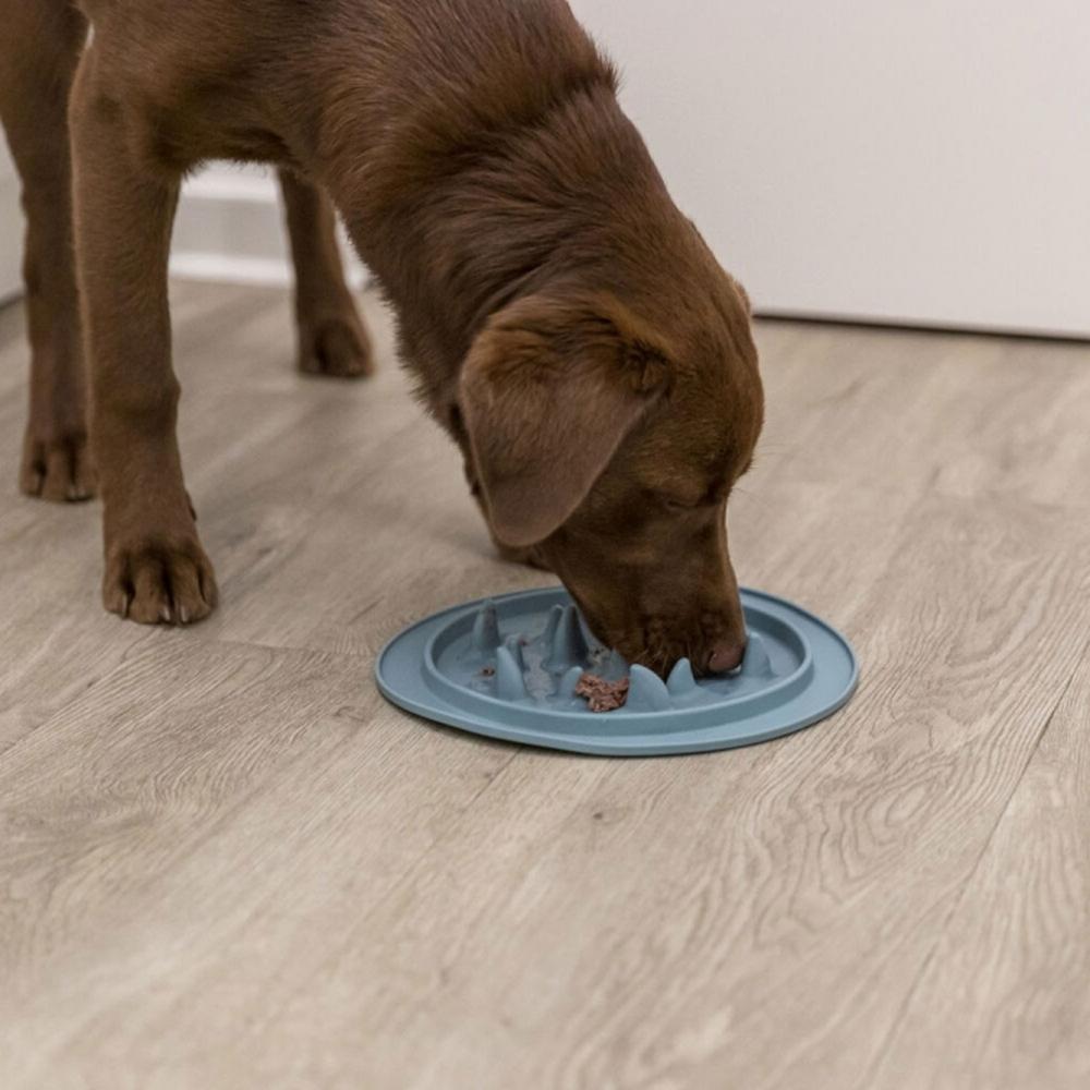 TRIXIE Slow Feeding Futtermatte