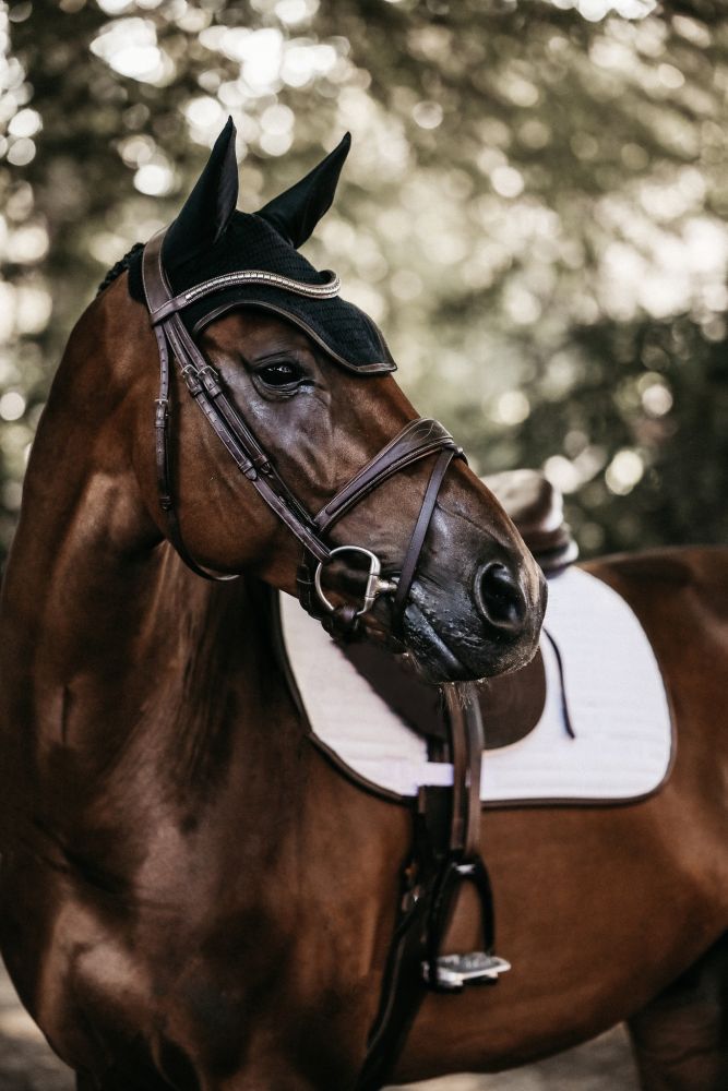 KENTUCKY® HORSEWEAR Fliegenhaube Wellington Leder, schwarz