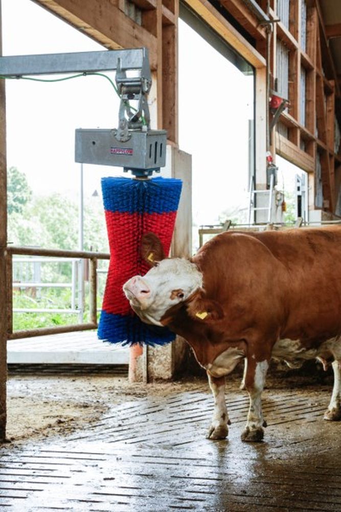 HAPPYCOW Kuhputzmaschine MaxiSwing