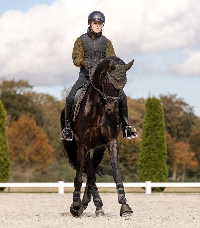 Ein Rappe mit Reiterin trägt die grünbraunen Waldhausen Fliegenohren St. Gallen auf einem Reitplatz in Frontalansicht.