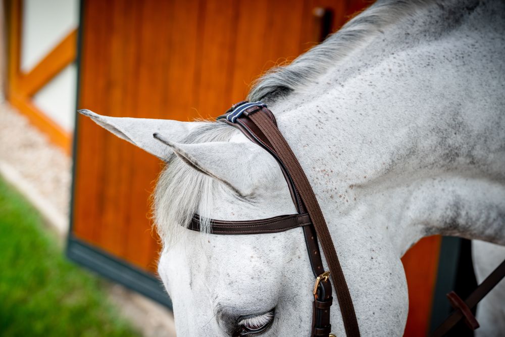 HORSEWARE® Micklem® 2 Multi Bridle, dark havana 