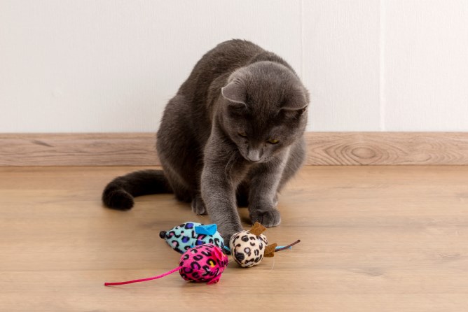 KERBL Katzenspielzeug Maus im Display