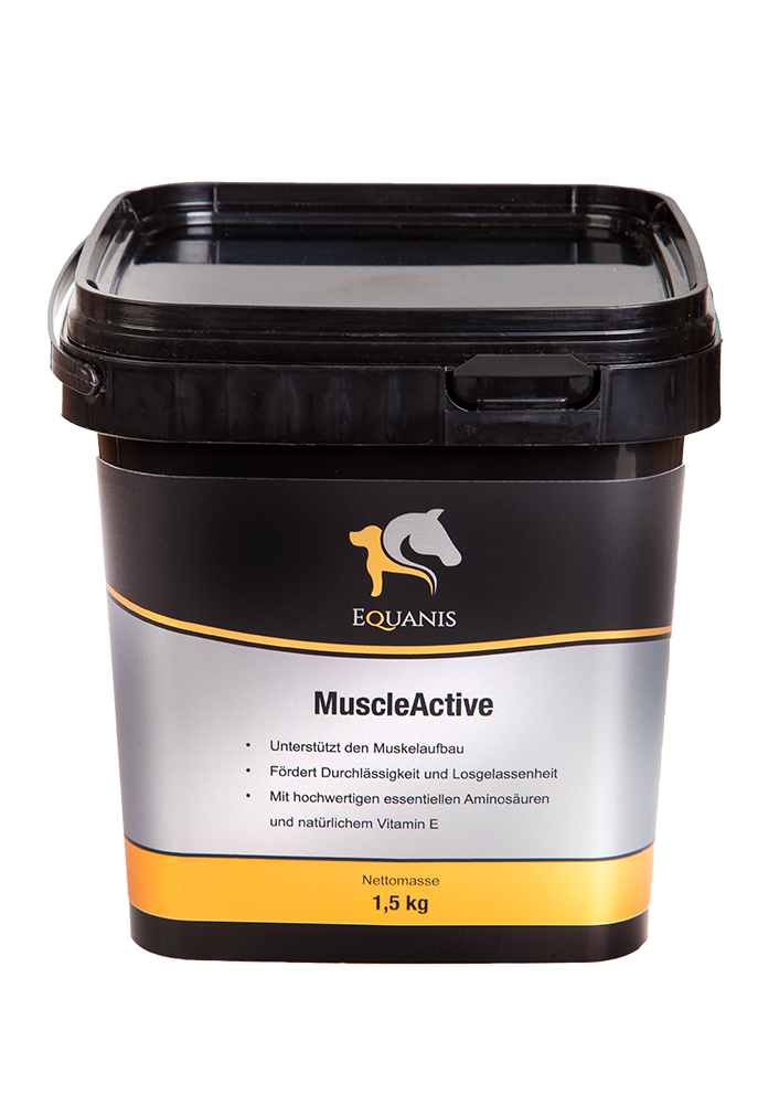 EQUANIS MuscleActive