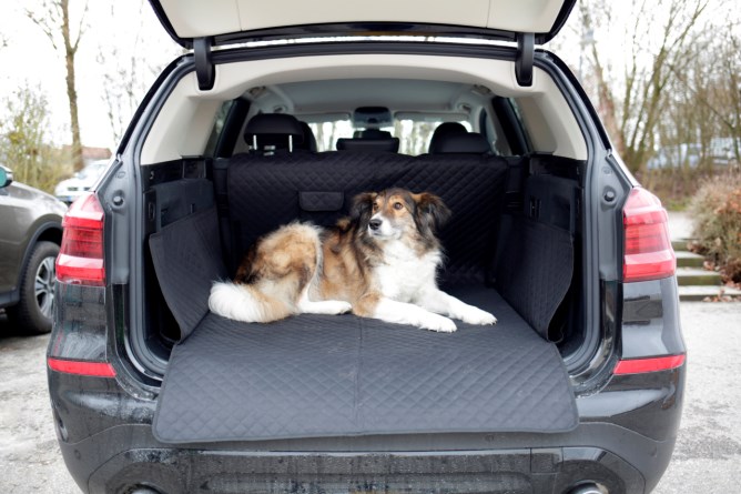 KERBL Auto-Schondecke Kofferraum Premium
