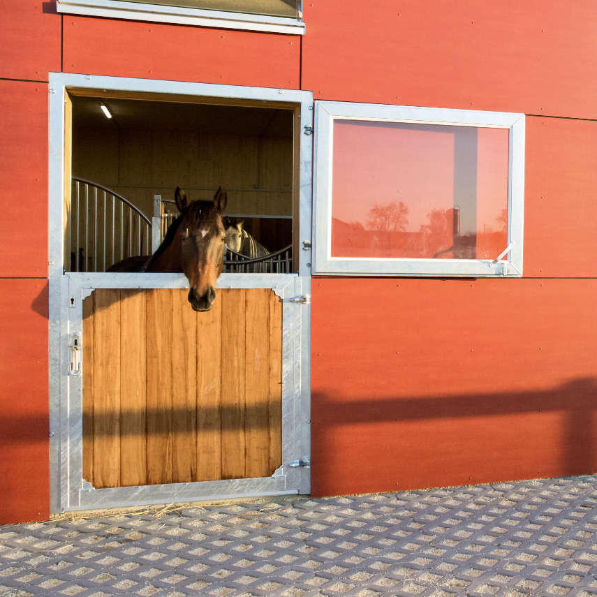 HAU Standard-Stalltür - Höhe: 2,25 m