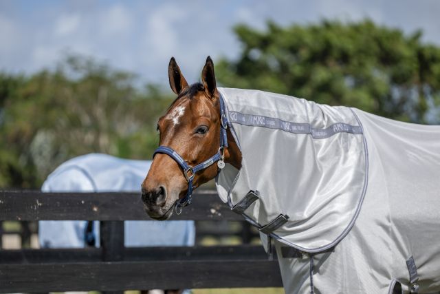 HORSEWARE® Fliegendecke Amigo® Bug Rug XL Plus, silver/titanium Ein braunes Pferd mit Halfter trägt die silber-titanium Fliegendecke Amigo Bug Rug XL Plus mit Halsteil auf der Weide.