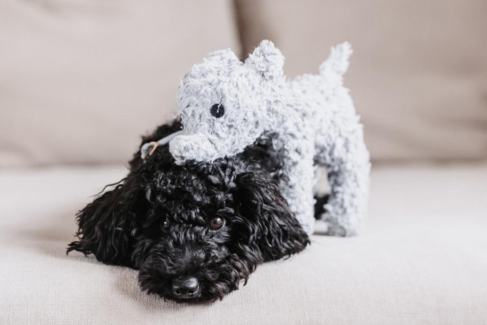 KENTUCKY® DOGWEAR Hundespielzeug Elefant Elsa