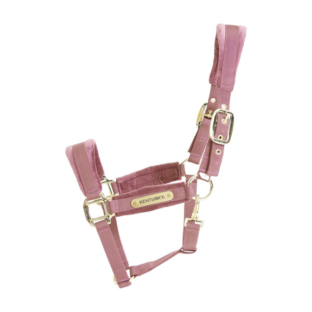 KENTUCKY® HORSEWEAR Velvet Halfter, altrosa