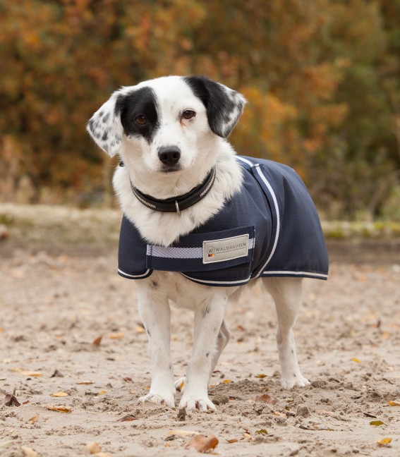 WALDHAUSEN Comfort Hundedecke, 200g