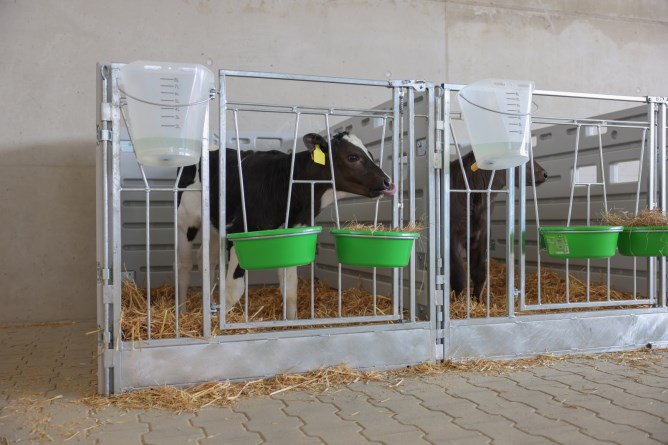 KERBL Modulare Kälberbox Erweiterung Einzelbucht wandständig