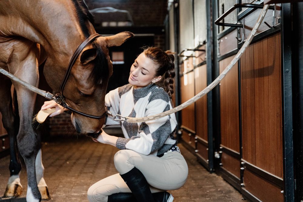 KENTUCKY® HORSEWEAR Leder Stallhalfter