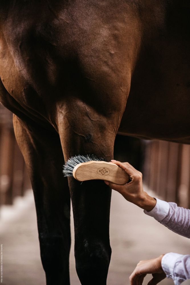KENTUCKY® GROOMING DELUXE Middle Hard Brush