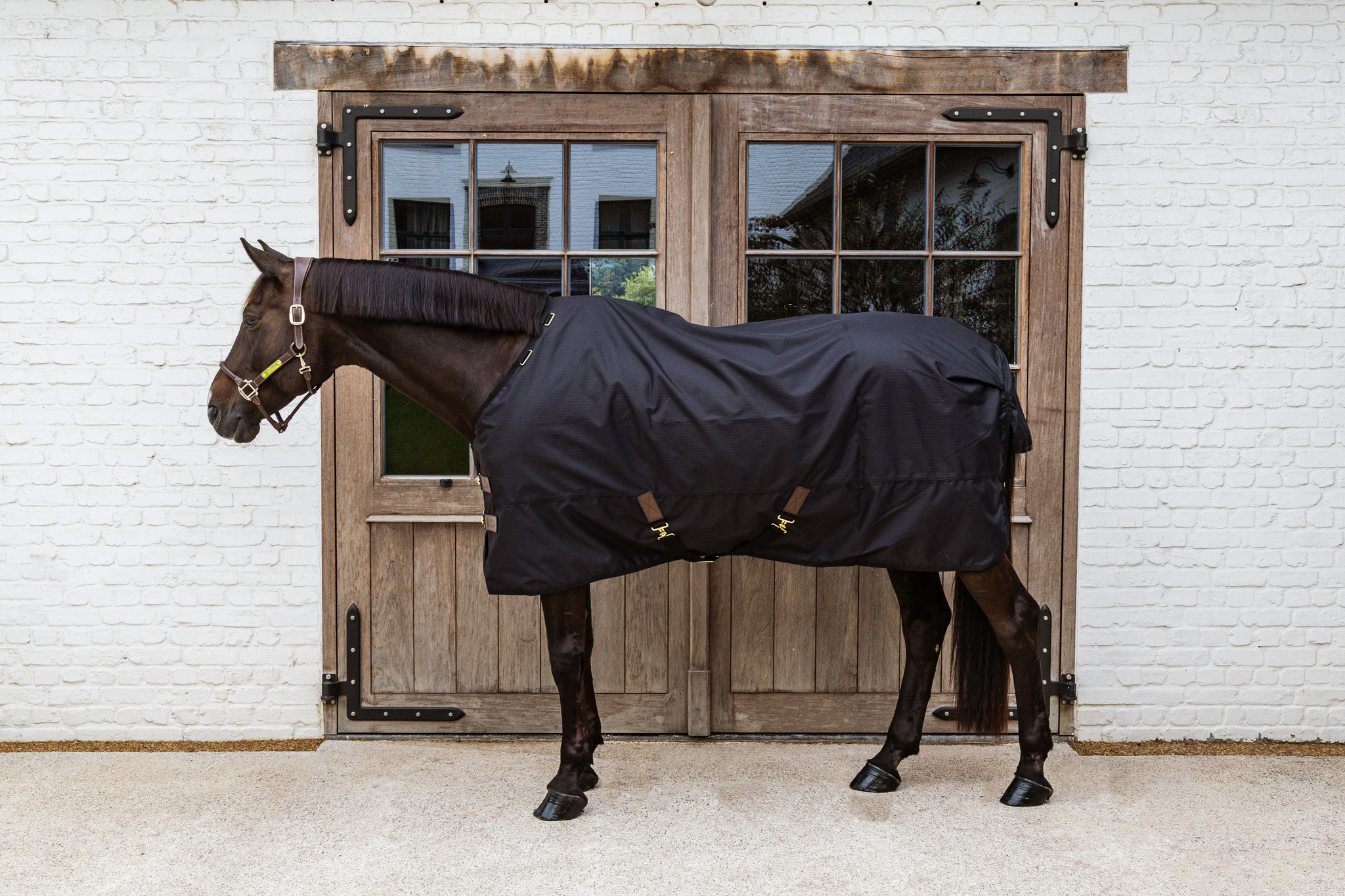 Schwarze wasserdichte Weidedecke All Weather Classic an einem dunklen Pferd in der Seitenansicht vor einer Holztür.