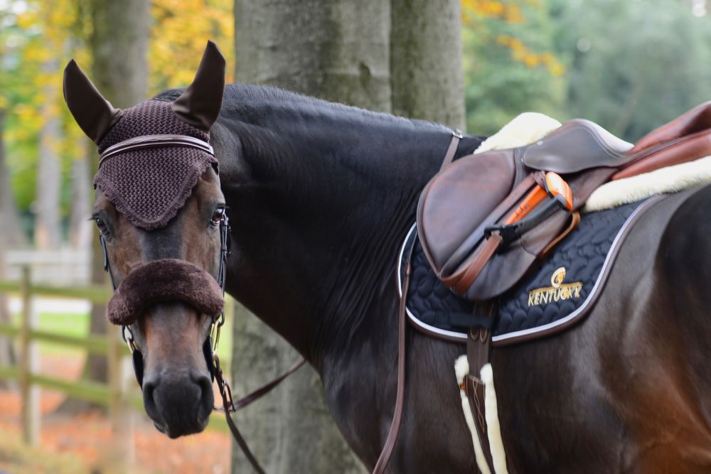 KENTUCKY® HORSEWEAR Schaffell-Nasenriemenschoner, braun