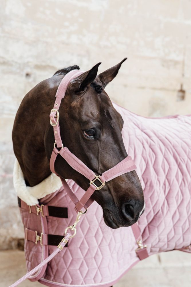 KENTUCKY® HORSEWEAR Velvet Halfter, altrosa