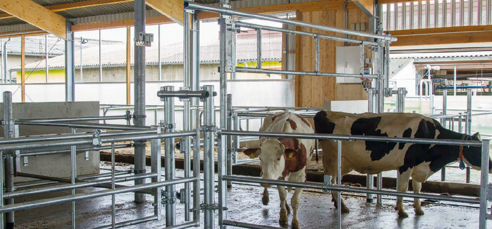 PATURA Hubtor für Treibgänge, inkl. Pfosten