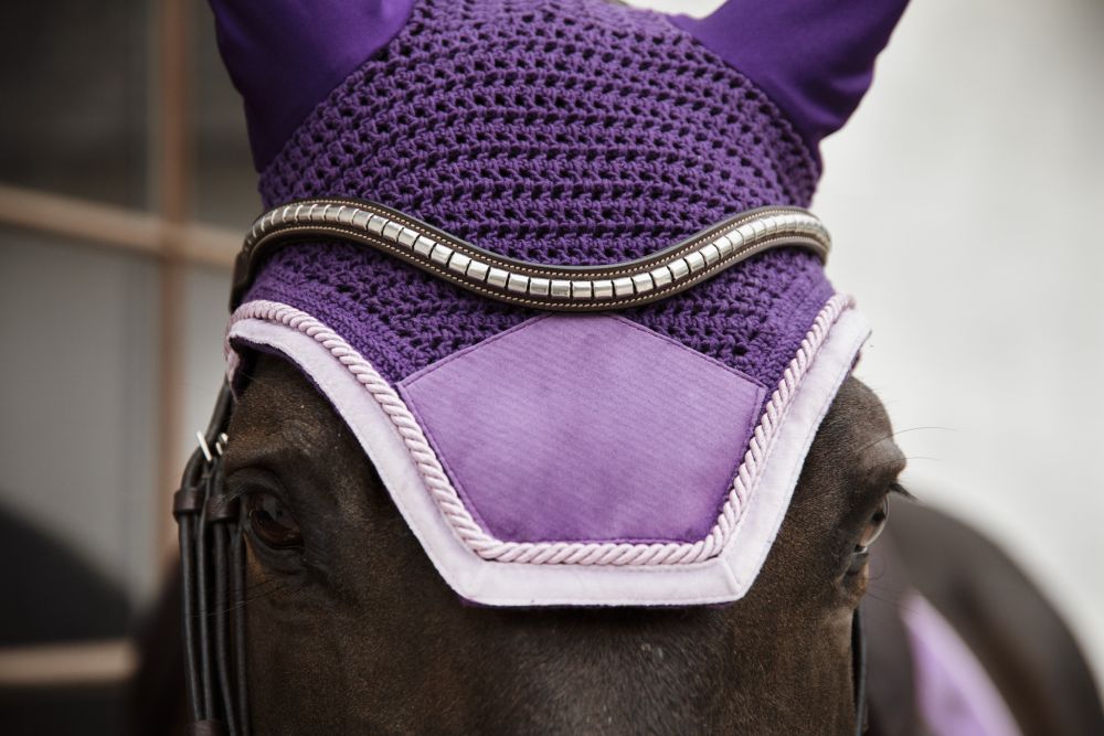 KENTUCKY® HORSEWEAR Fliegenhaube Wellington Velvet Contrast, königliches violett