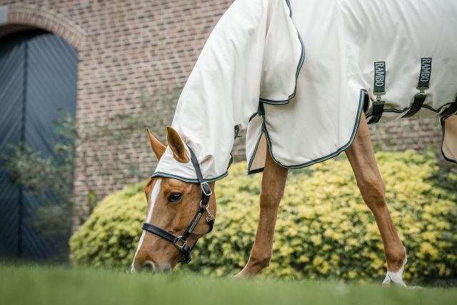 HORSEWARE® Rambo® Pony Hoody, chalk/hunter green Braunes Pony trägt die Horseware Rambo Pony Hoody Fliegendecke in Cremeweiß mit jägergrünem Rand beim Grasen.