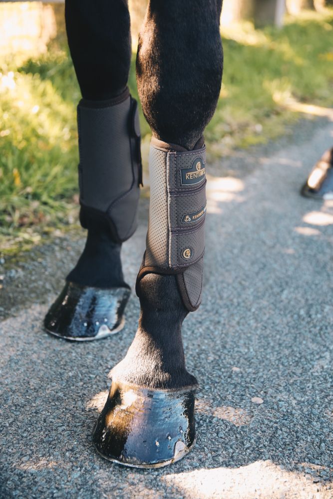 KENTUCKY® HORSEWEAR Geländegamaschen Air Tech vorne, braun