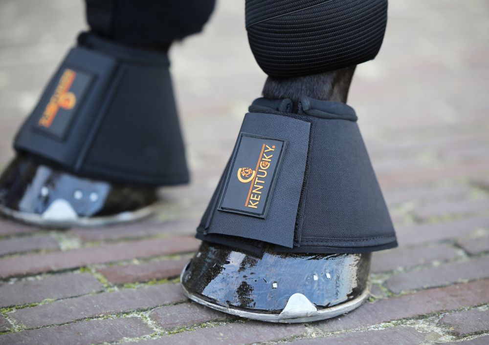 KENTUCKY® HORSEWEAR Hufglocken Solimbra
